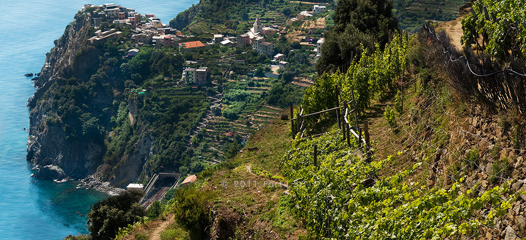 Hotel Pasquale - Walking trails - Monterosso al Mare - Cinque Terre - Liguria - Italy