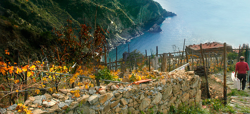 Hotel Pasquale - Walking trails - Monterosso al Mare - Cinque Terre - Liguria - Italy